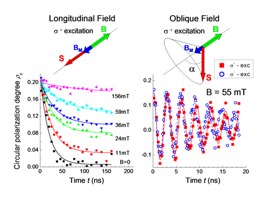 Diagrams of circular polarization degree versus time of longitudinal and oblique fields