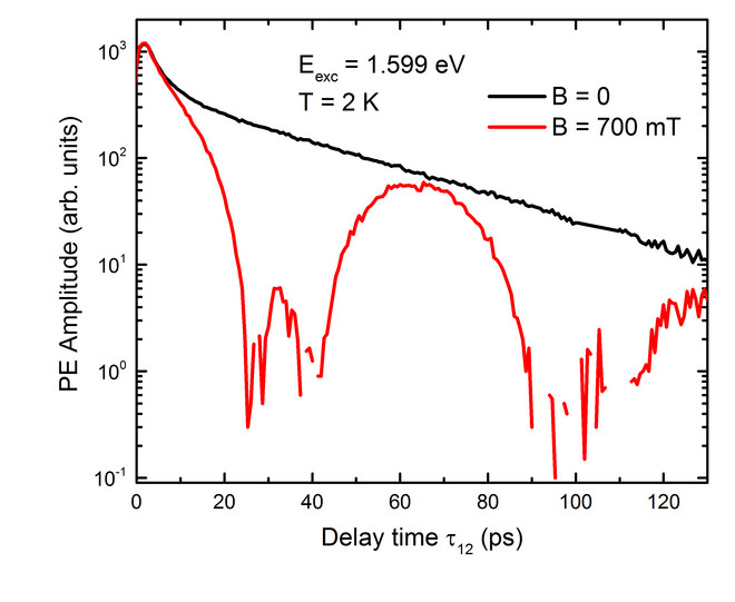 Diagram of photon echo amplitude versus delay time