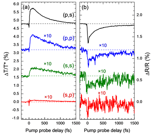 Diagrams of ratios delta T and T* and delta R and R* versus pump probe delay time