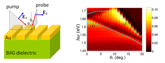 Scheme of SPP control in magnetoplasmonic crystals and an diagram of measured data