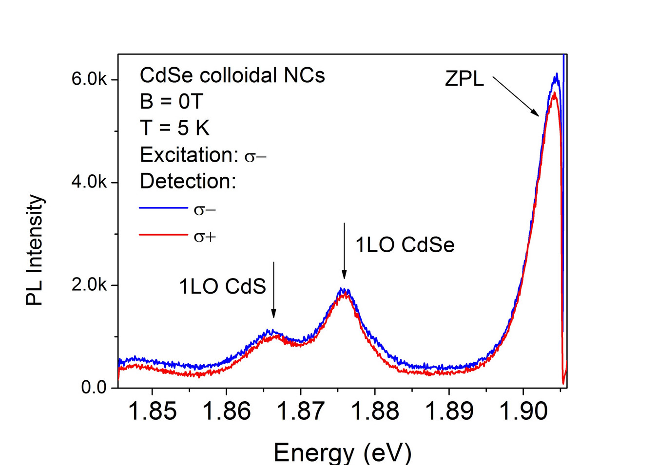 Diagram of photoluminescence intensity versus energy of CdSe colloidal NCs