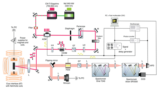 Setup scheme of optical spin orientation experiments