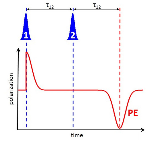 Scheme diagram of photon echo experiments