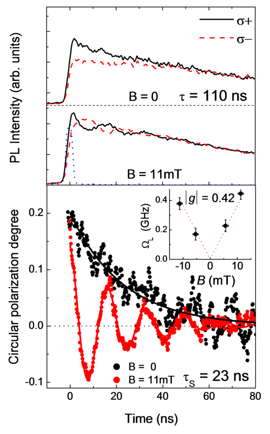 Diagrams of photoluminescence intensity and circular polarization degree versus time