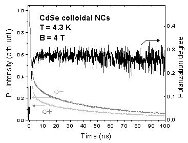 Diagram of measured photoluminescence intensity versus time