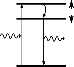 Scheme of spin-flip Raman scattering process