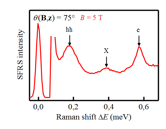 Diagram of spin-flip Raman scattering intensity versus Raman energy shift