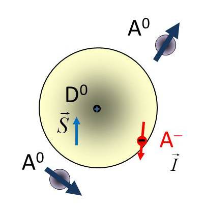 Scheme of spin interactions between electron and magnetic ion